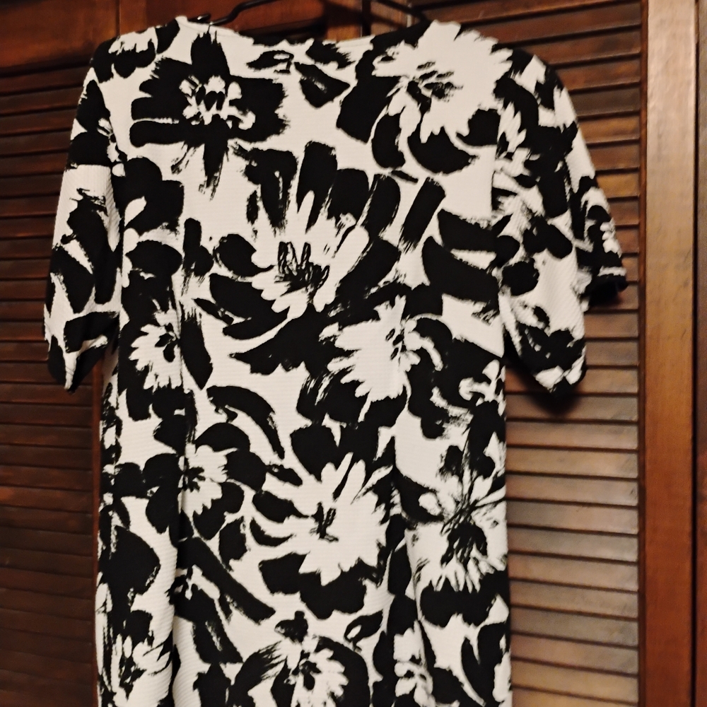 Ashley Stewart Black and White Graphic Blouse with Peter Pan Collar